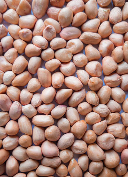 Peanuts, seeds, pulses