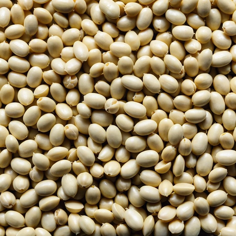 NON-GMO SOYBEANS