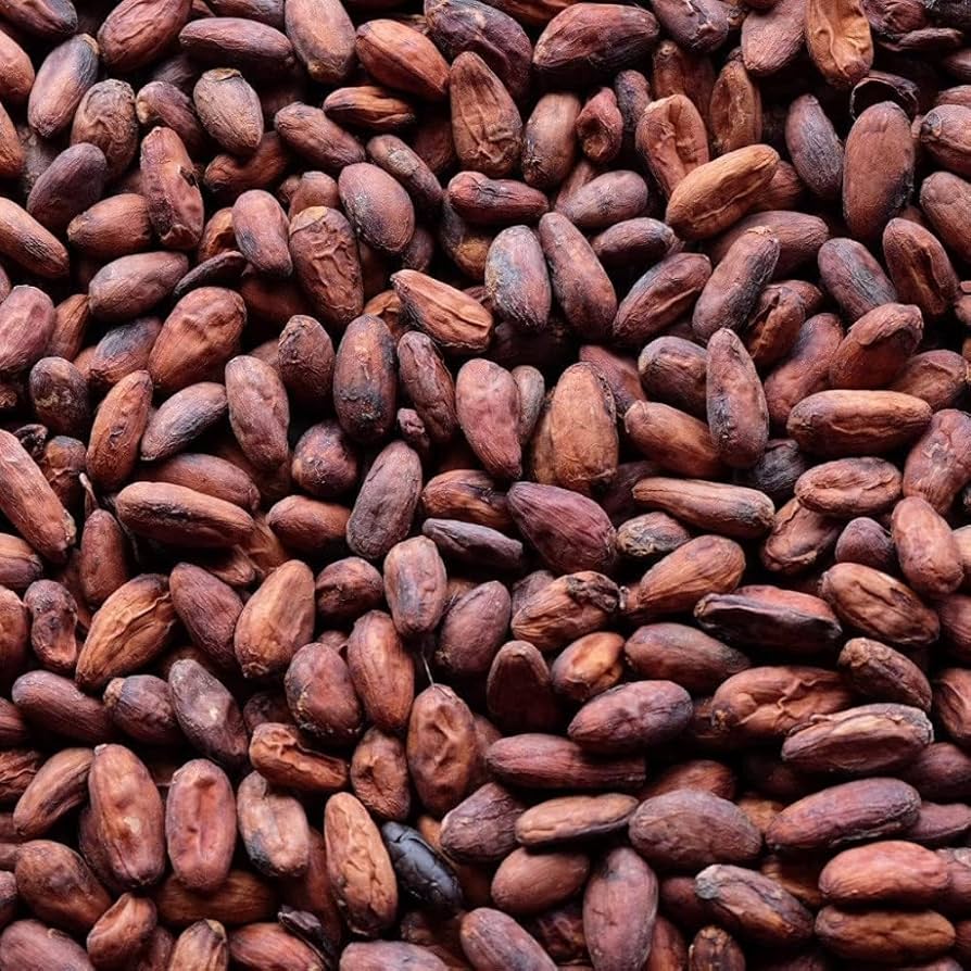 COCOA BEANS