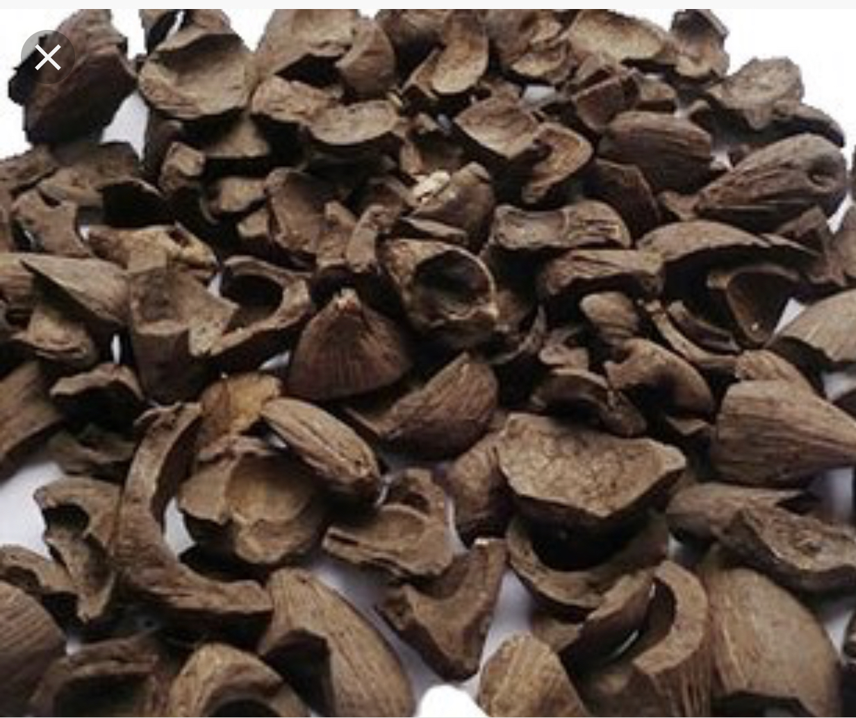 Palm Kernel Shell