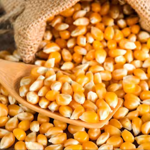 Corn