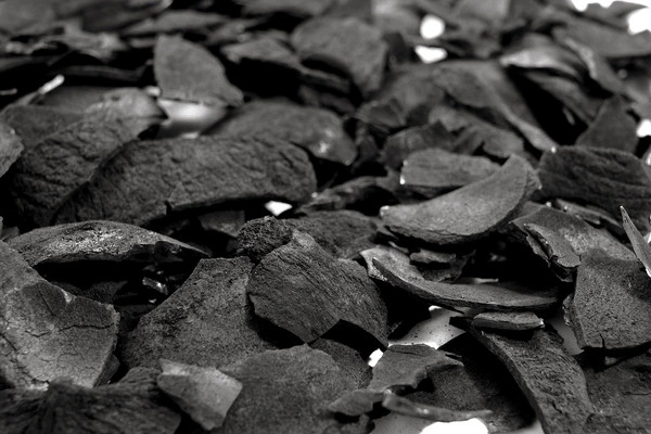 Coconut Shell Charcoal