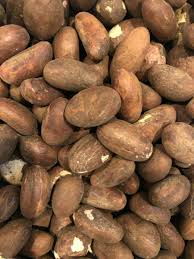 Bitter Kola