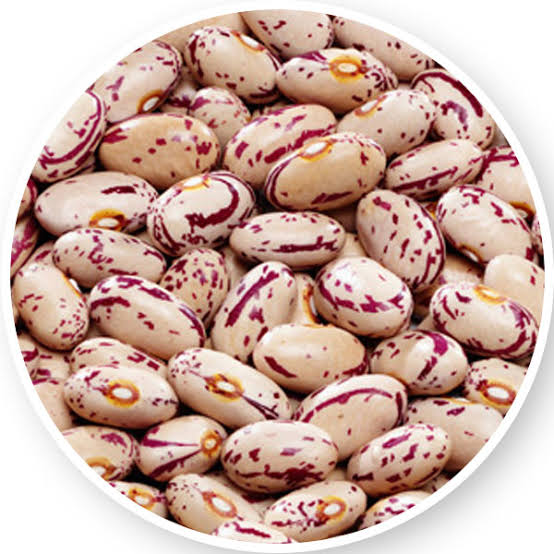 Sugar Beans