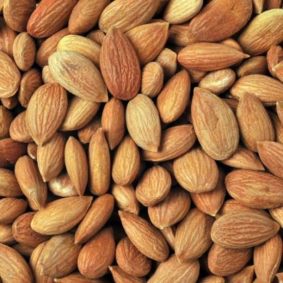 Apricot Kernel