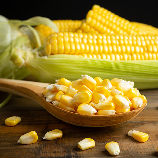 Yellow Maize