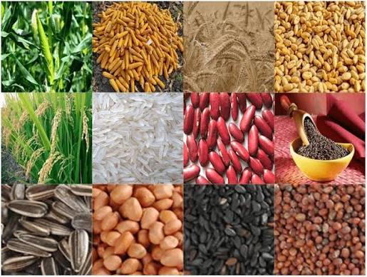 Agriculture