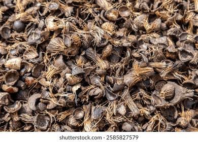 Palm Kernel Shell