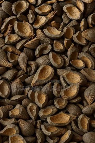Palm Kernel Shell
