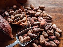 COCOA BEANS