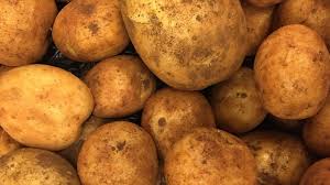 POTATO