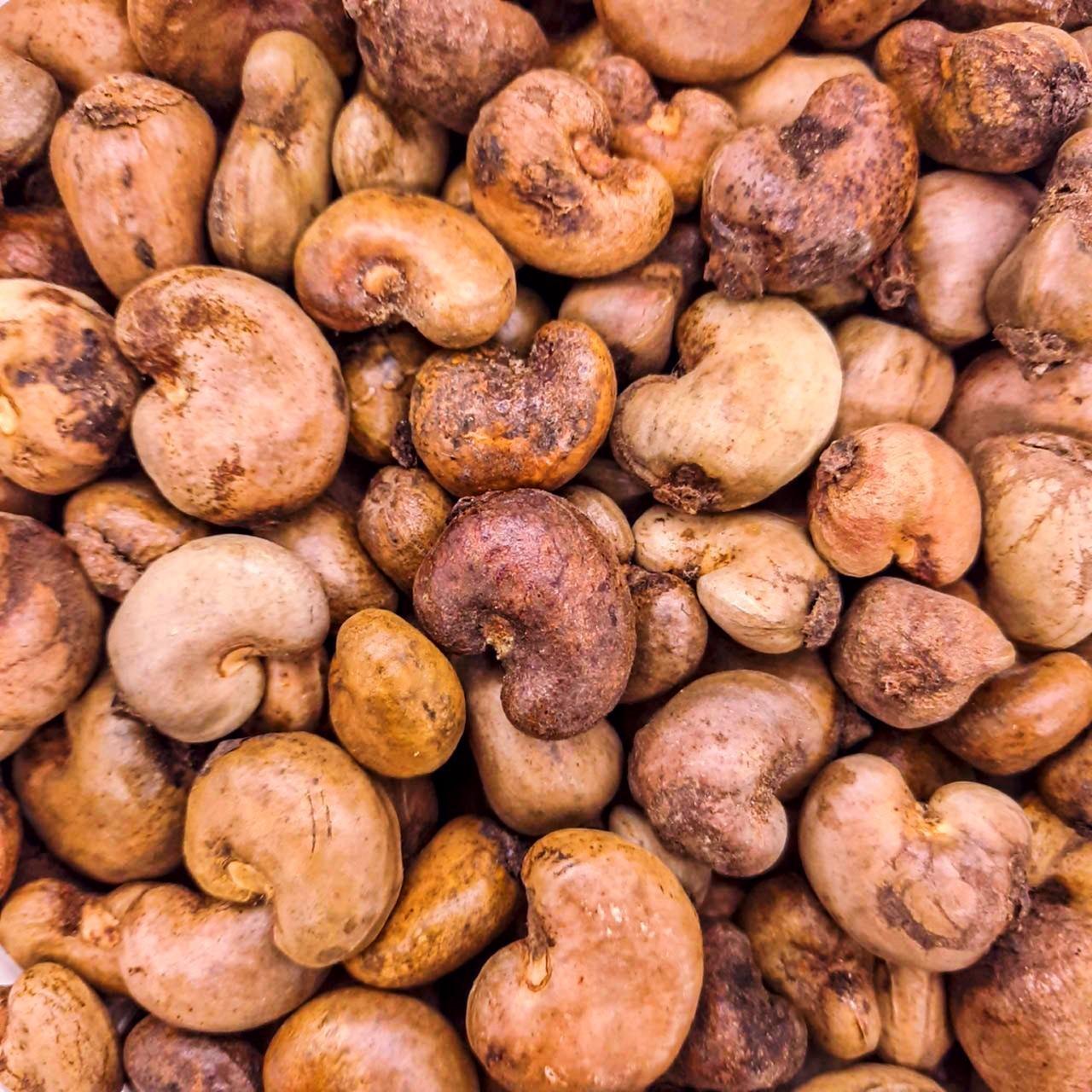 Cashew Nuts