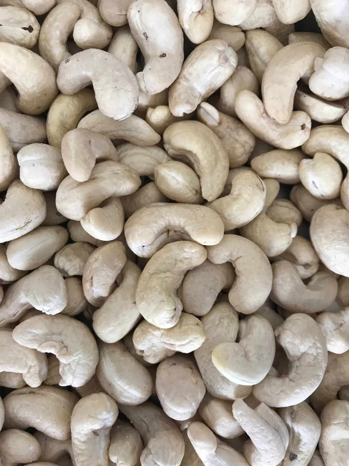 Cashew