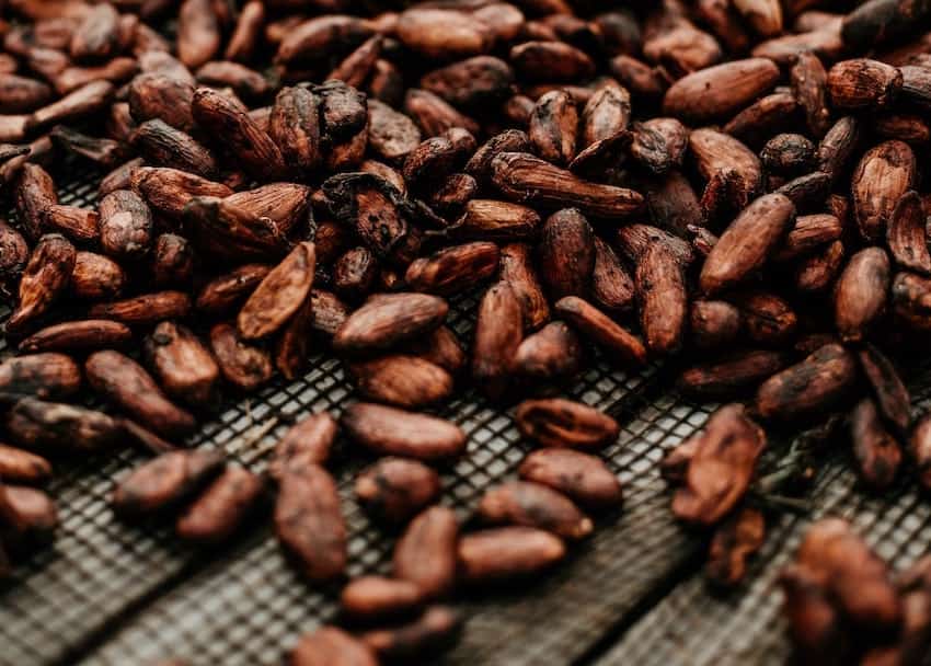 COCOA BEANS