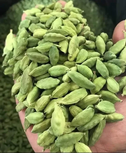 Cardamom